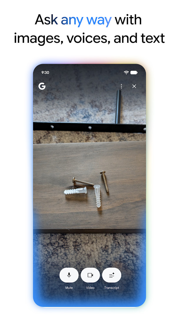 Google Lens identifying a plant through the camera with matching visual results