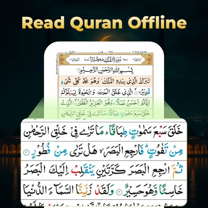 Quran search screen for finding surahs and verses instantly